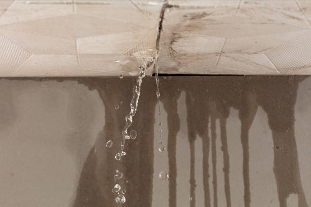 Professional Structural Drying technician working in Castle Rock, WA